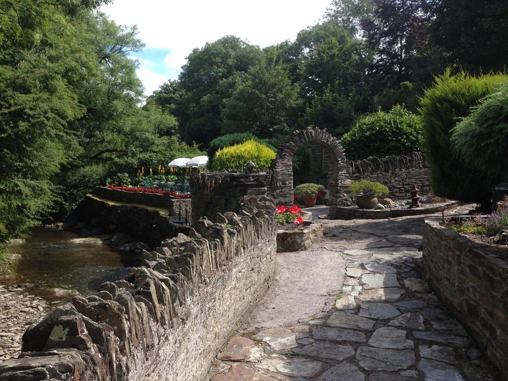 Bed and Breakfast The Old Mill House Padstow Pokoj fotografie